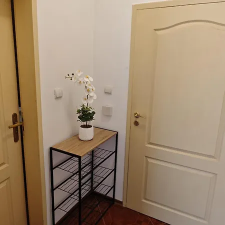 Sun Light Slnecne Pobrezie アパート